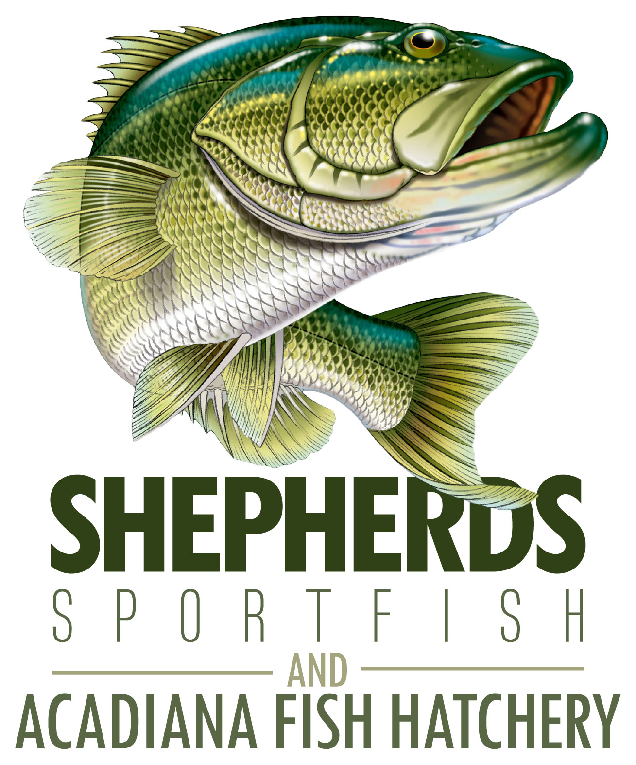 Shepherds Sportfish